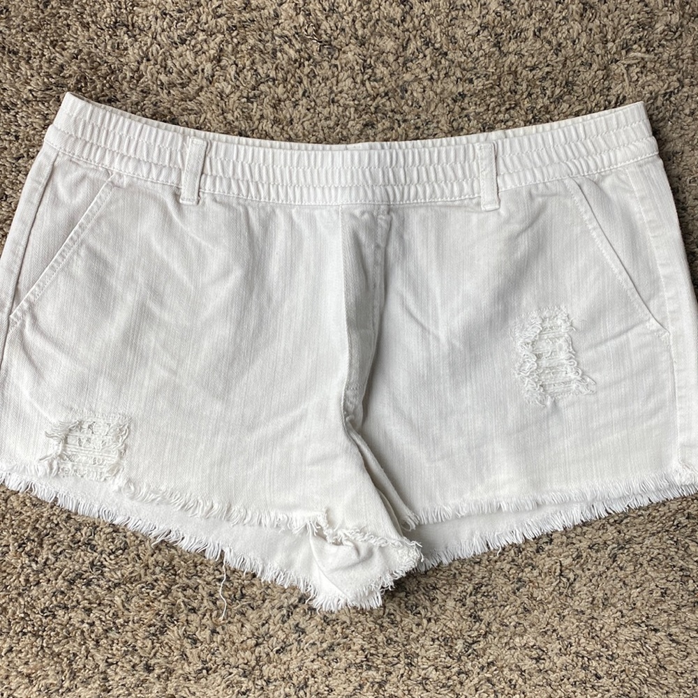 Arie Shorts